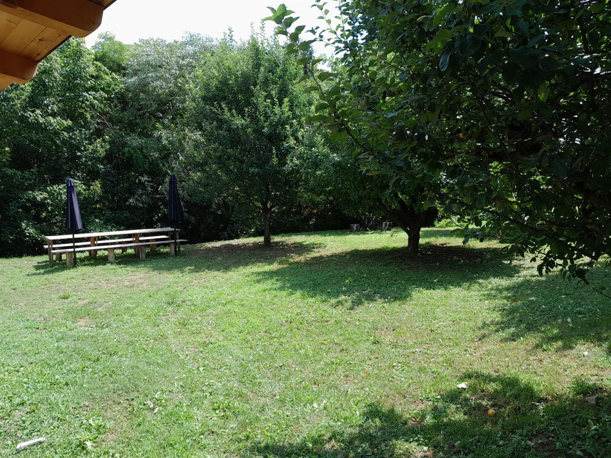 Nica Wood Villa Sremska Kamenica Exterior photo